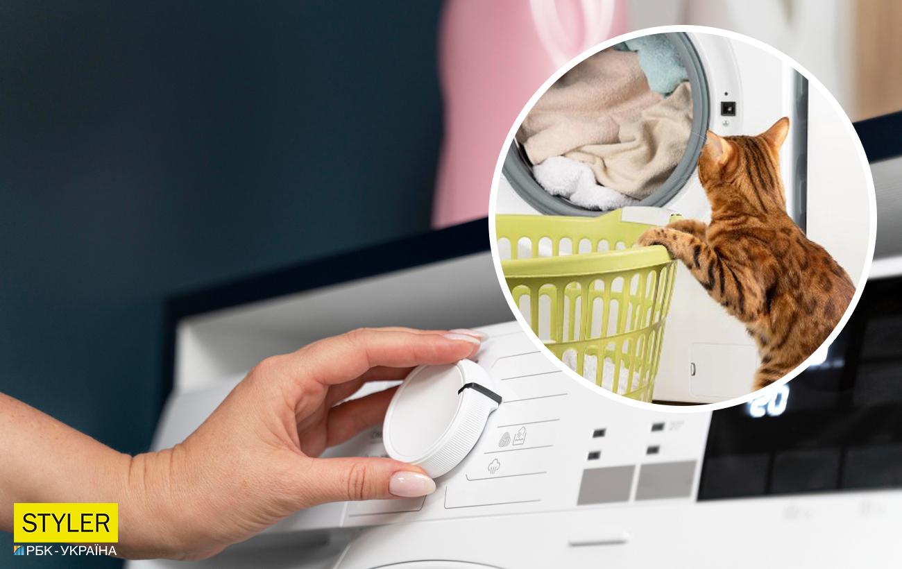 Киньте губку для посуду в пральну машину і результат вас точно здивує